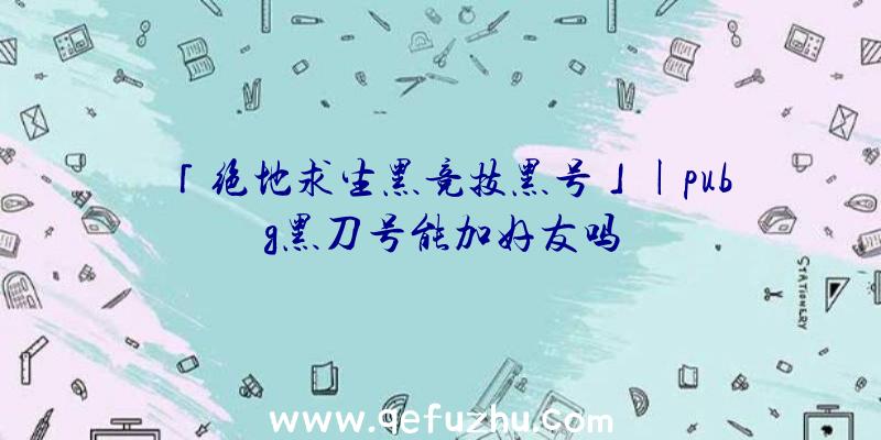 「绝地求生黑竞技黑号」|pubg黑刀号能加好友吗
